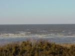 Click to enlarge.